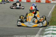 _DSC4662 copie